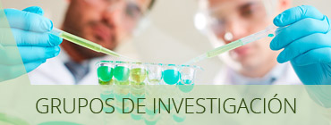 Grupos de Investigación