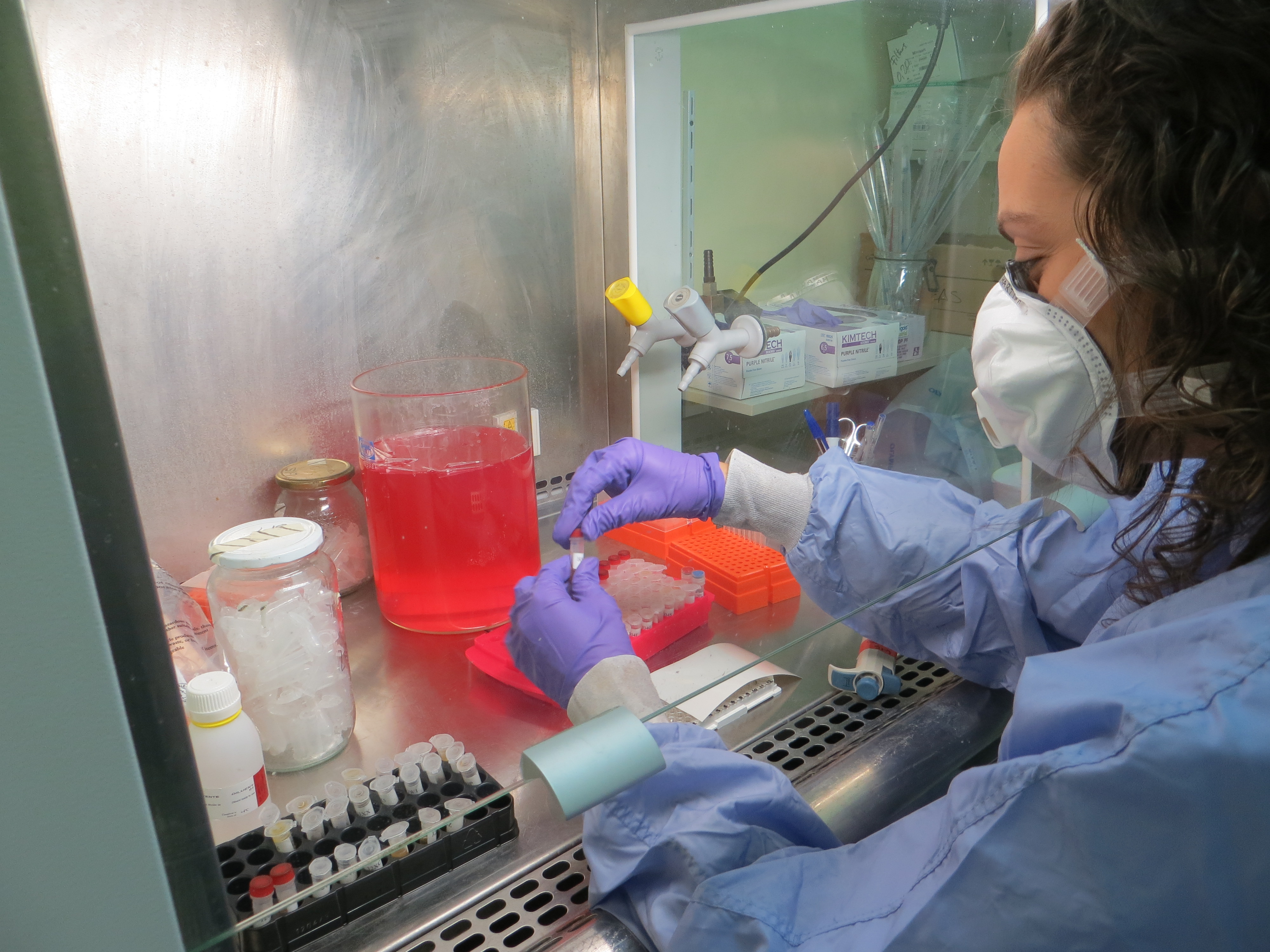 Identifican los factores que determinan la epidemiología del virus West Nile en las aves