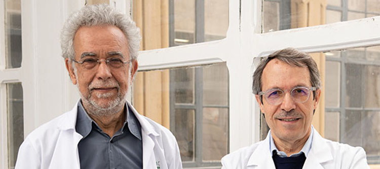 Revisan el conocimiento existente en encefalitis autoinmunes en 'The New England Journal of Medicine'