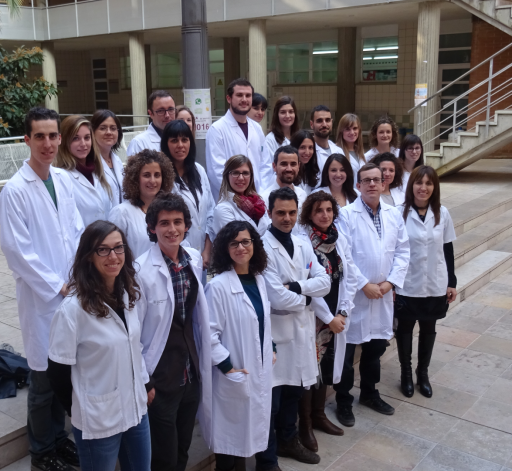 El consumo de nueces reduce las concentraciones sanguíneas de colesterol y triglicéridos