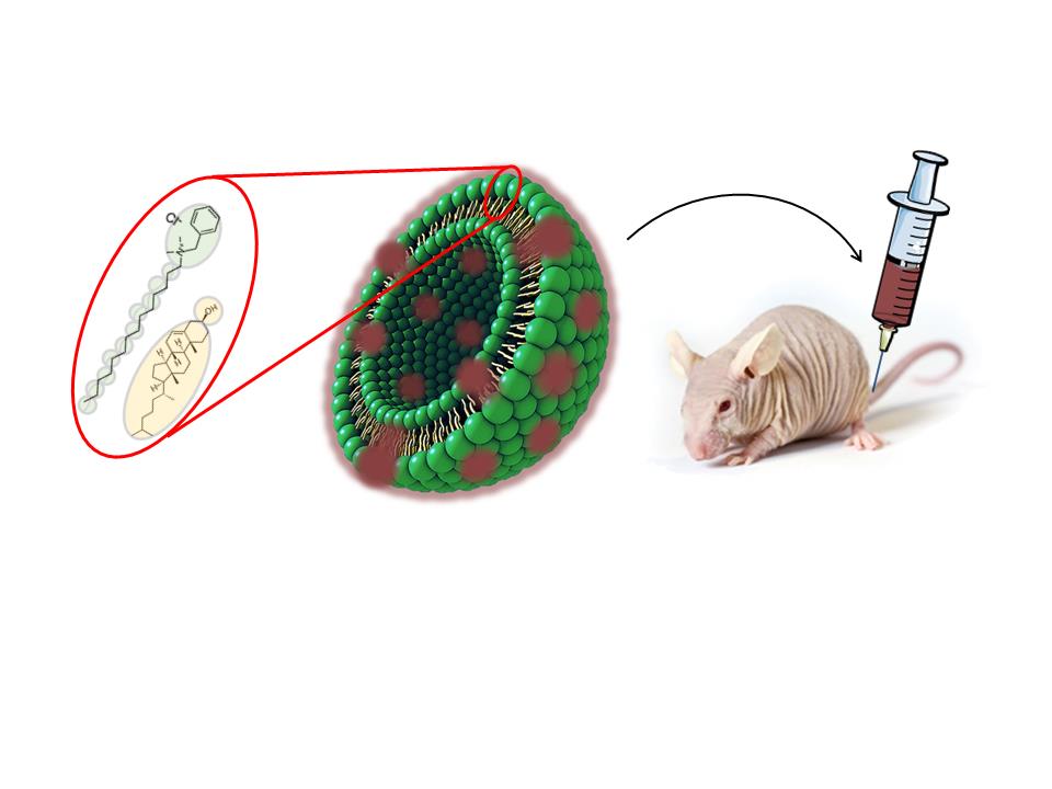 Nuevas nanovesículas MKC Quatsomes para administración de fármacos