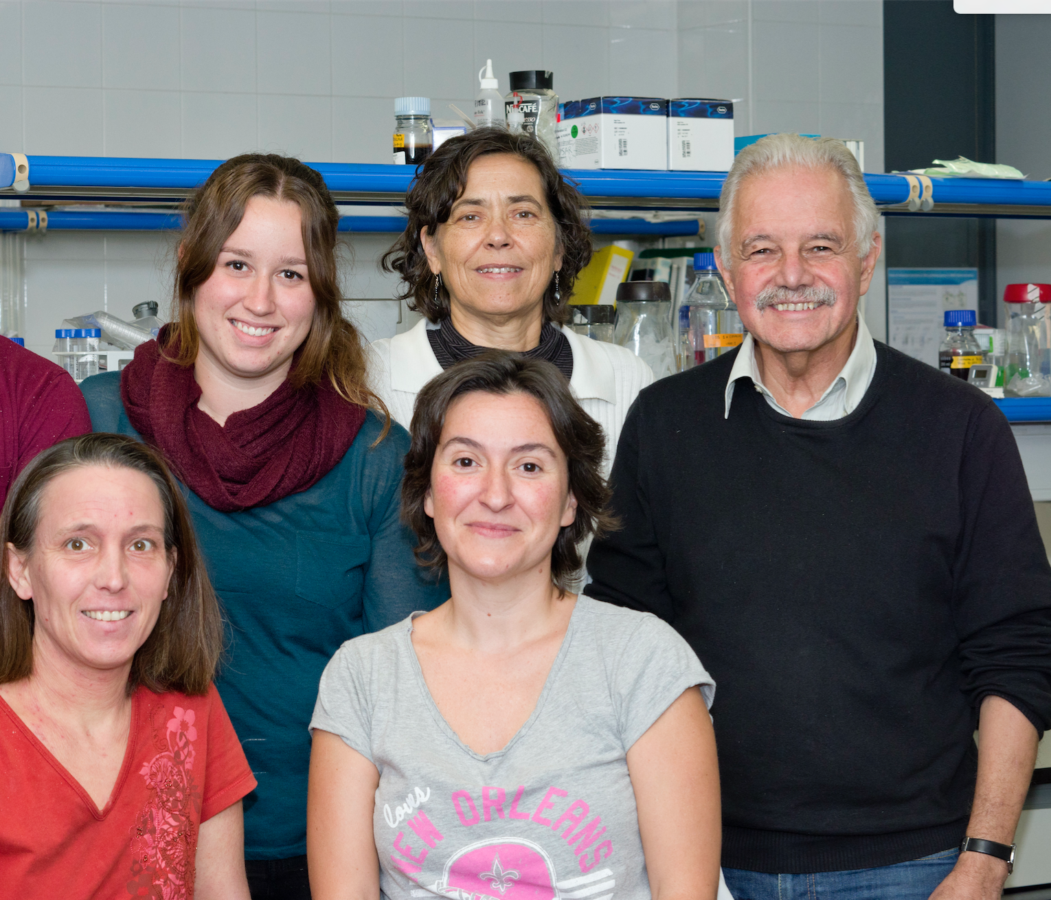 Describen una nueva enfermedad rara caracterizada por rasgos faciales propios, defectos cardíacos y retraso del desarrollo