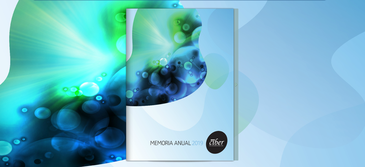 Memoria del Consorcio CIBER 2019