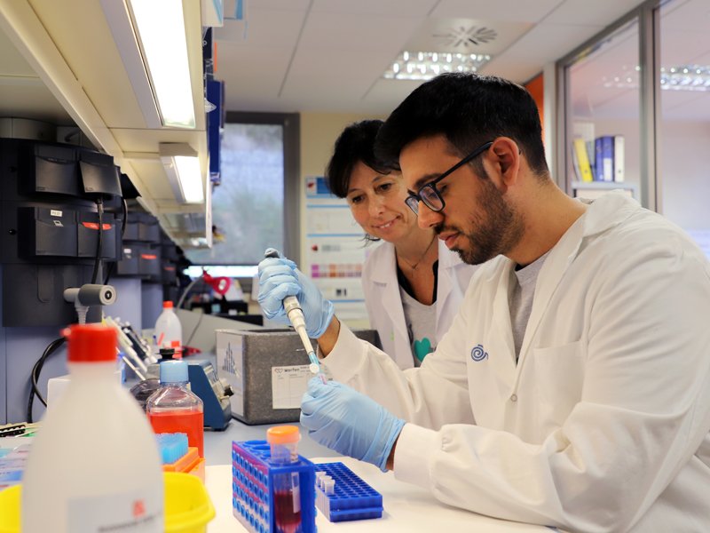 Un estudio con nuevos datos biológicos sobre el cáncer de hígado infantil podría mejorar la gestión clínica