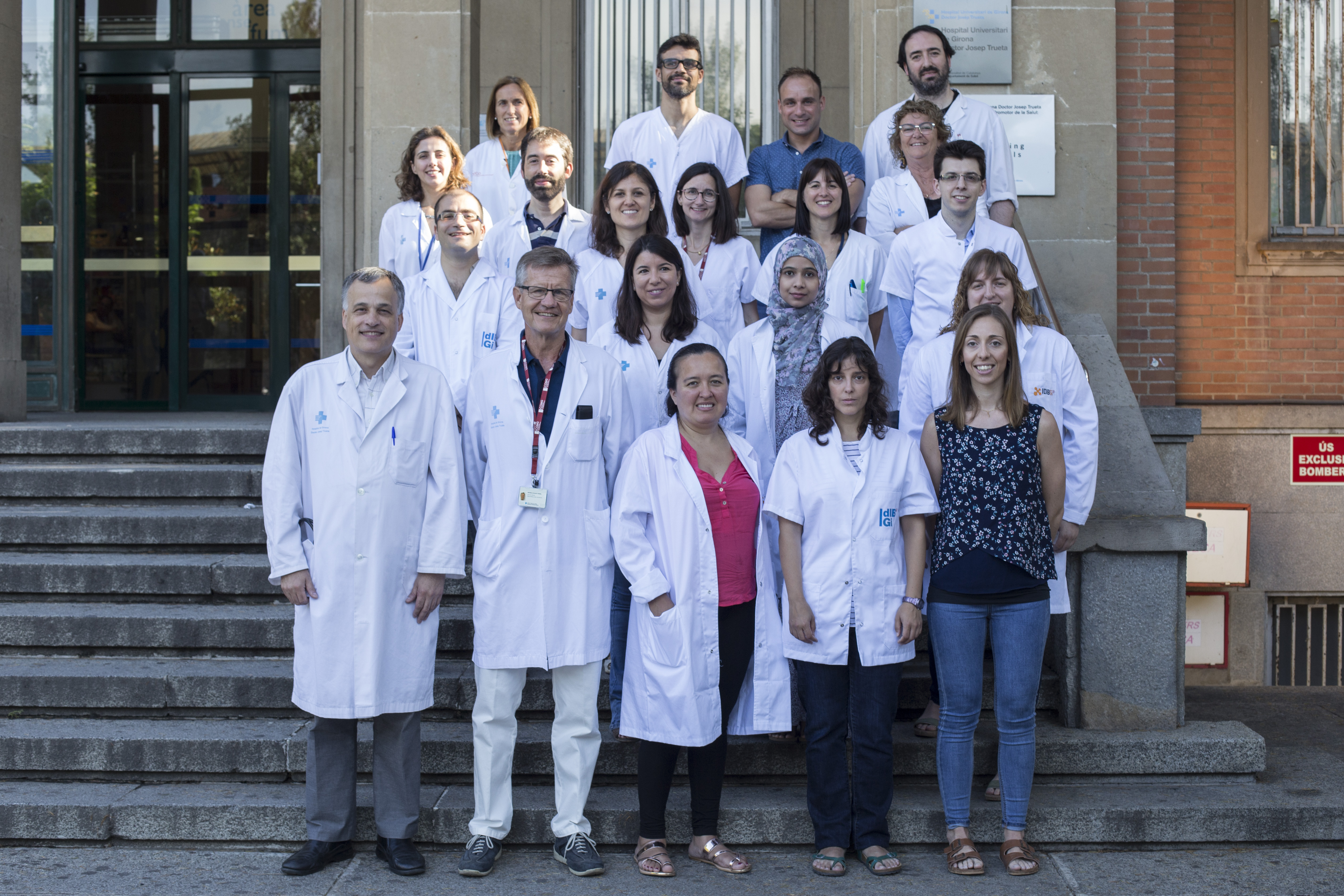 Demuestran la relación entre los microbios intestinales y la memoria reciente