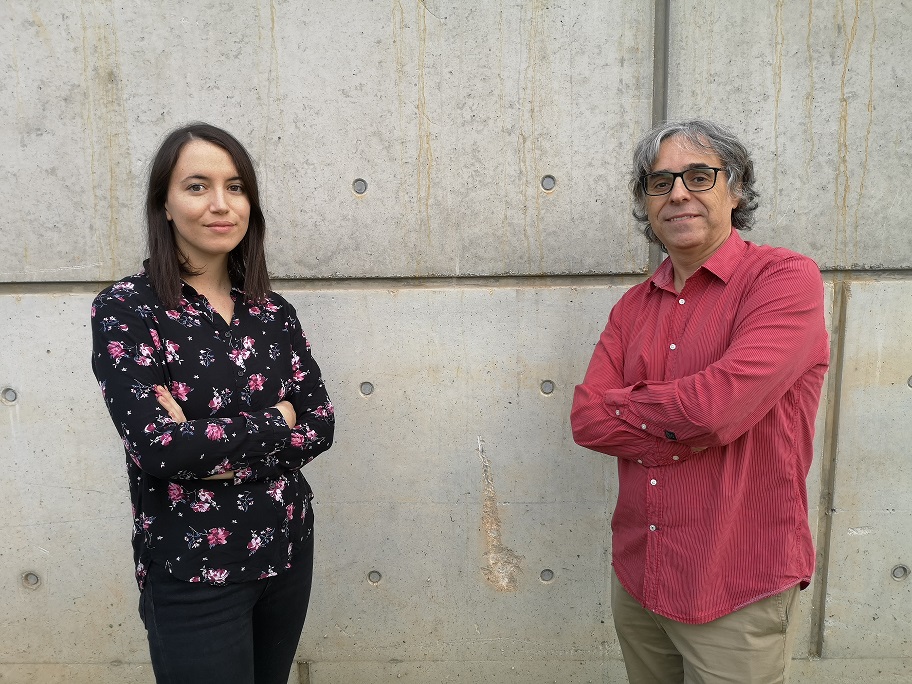 Identifican patrones de conexión en el cerebro que indicarían el riesgo de desarrollar trastornos obsesivos en niños