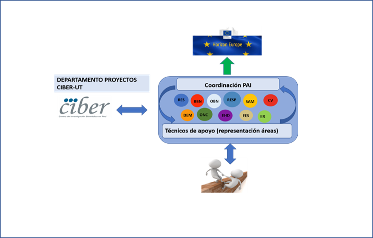 La Plataforma de Internacionalización del CIBER se consolida en sus 11 áreas