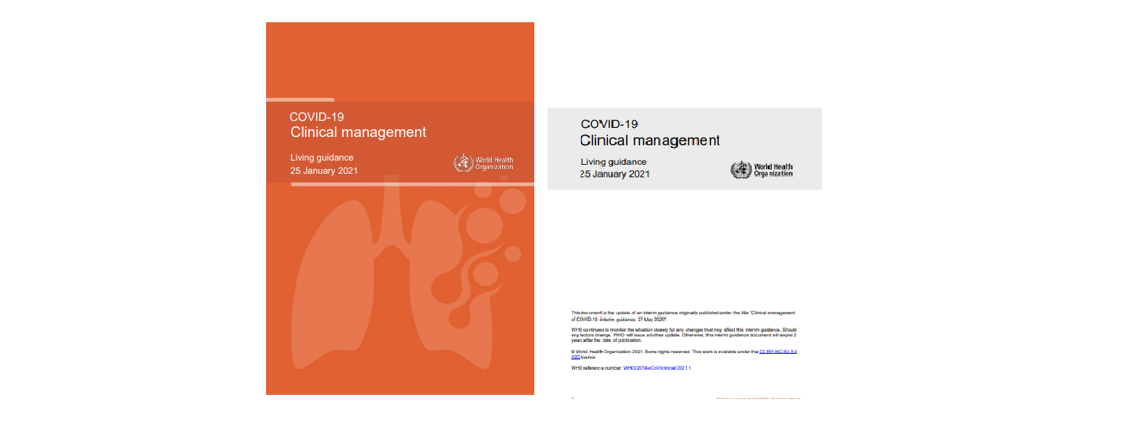 La OMS cita un estudio del CIBERFES como referencia en la Guía de manejo clínico de COVID-19