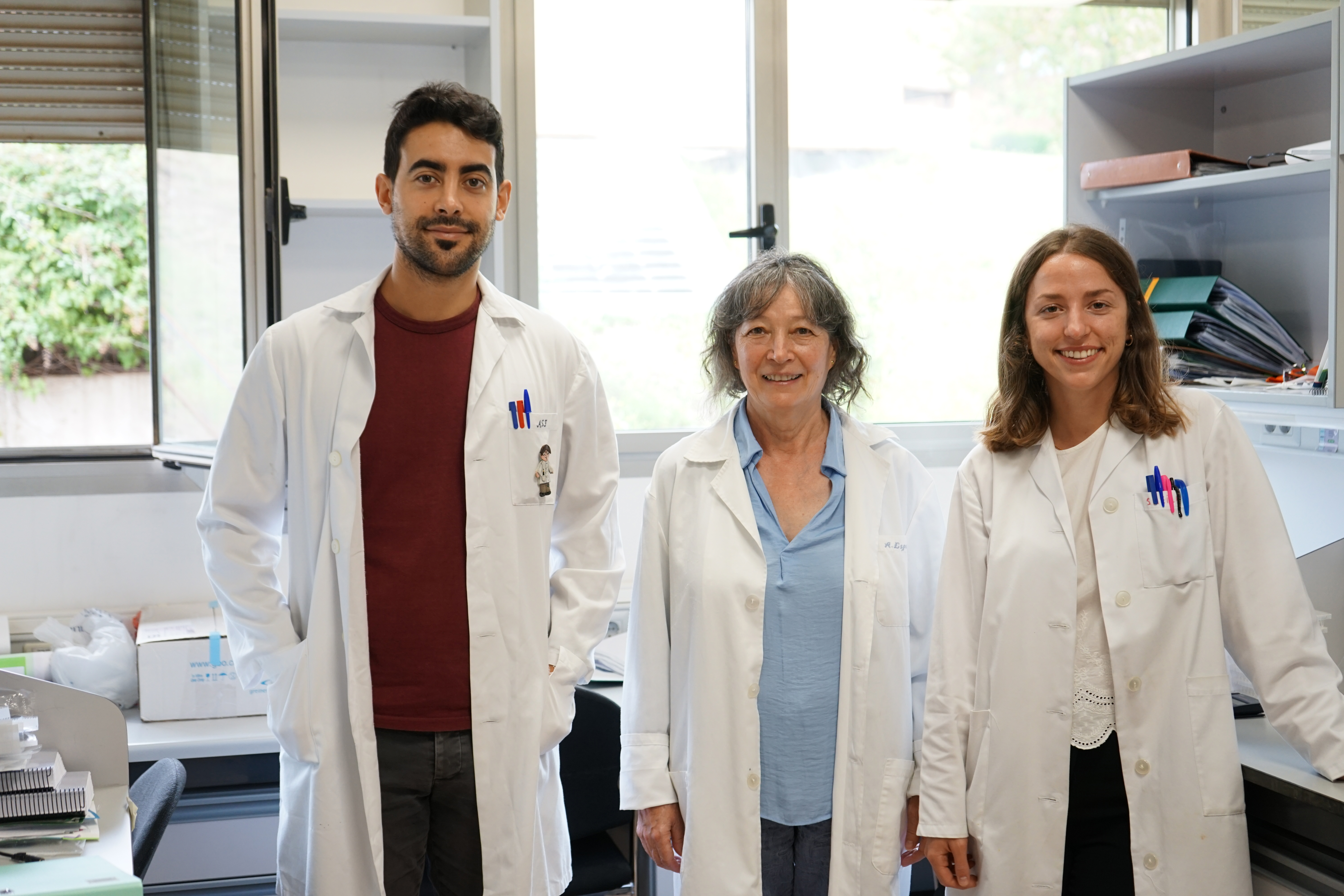 Definida nueva forma de atacar al adenocarcinoma de pulmón que podría mejorar los tratamientos actuales