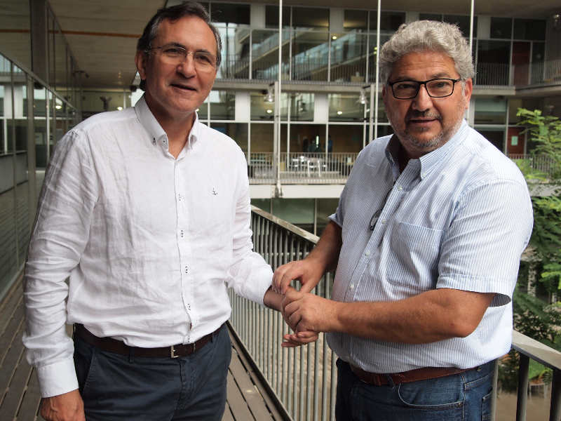 Un mayor número de pulsaciones del corazón se asocia con mayor riesgo de muerte