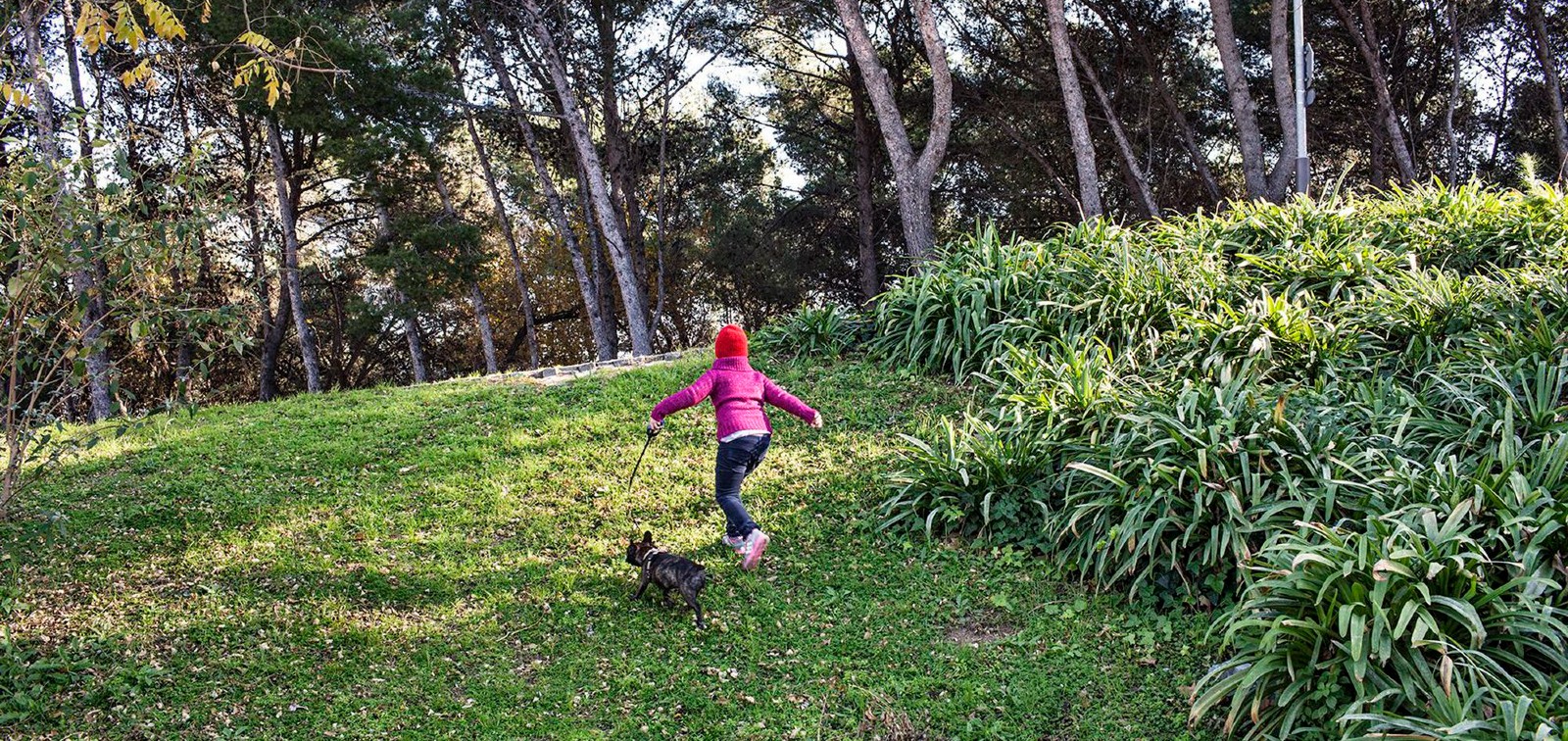 Los niños y niñas que viven y estudian cerca de espacios verdes sufren menos estrés oxidativo