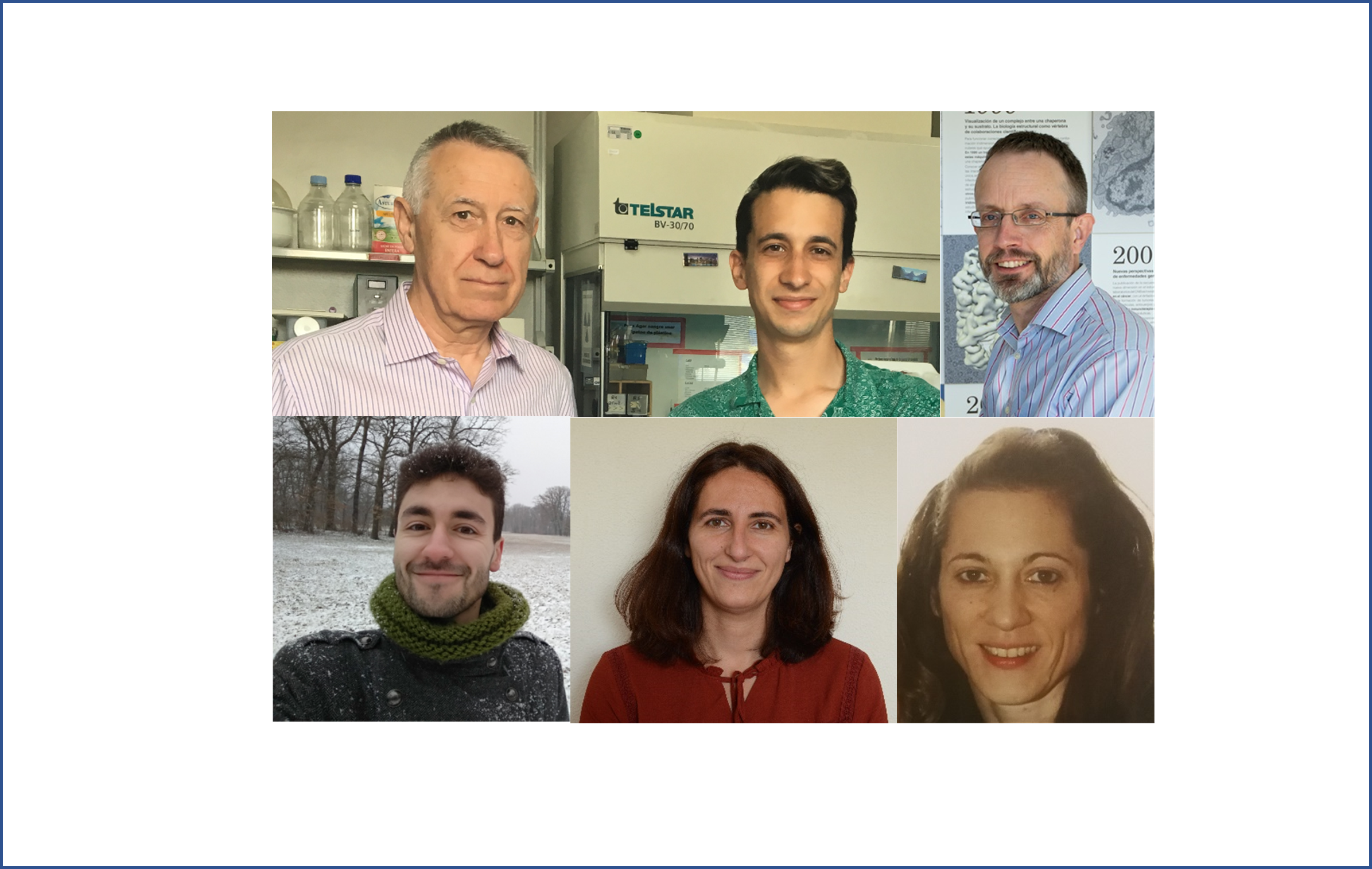 Estudios funcionales y estructurales de una enzima antibacteriana desvelan subdominios de unión y actividad