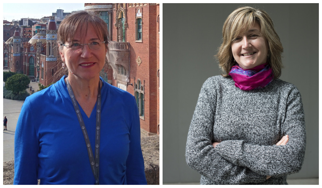 Los péptidos que inhiben la agregación de las LDL podrían ofrecer una alternativa terapéutica para frenar el avance del cáncer de páncreas