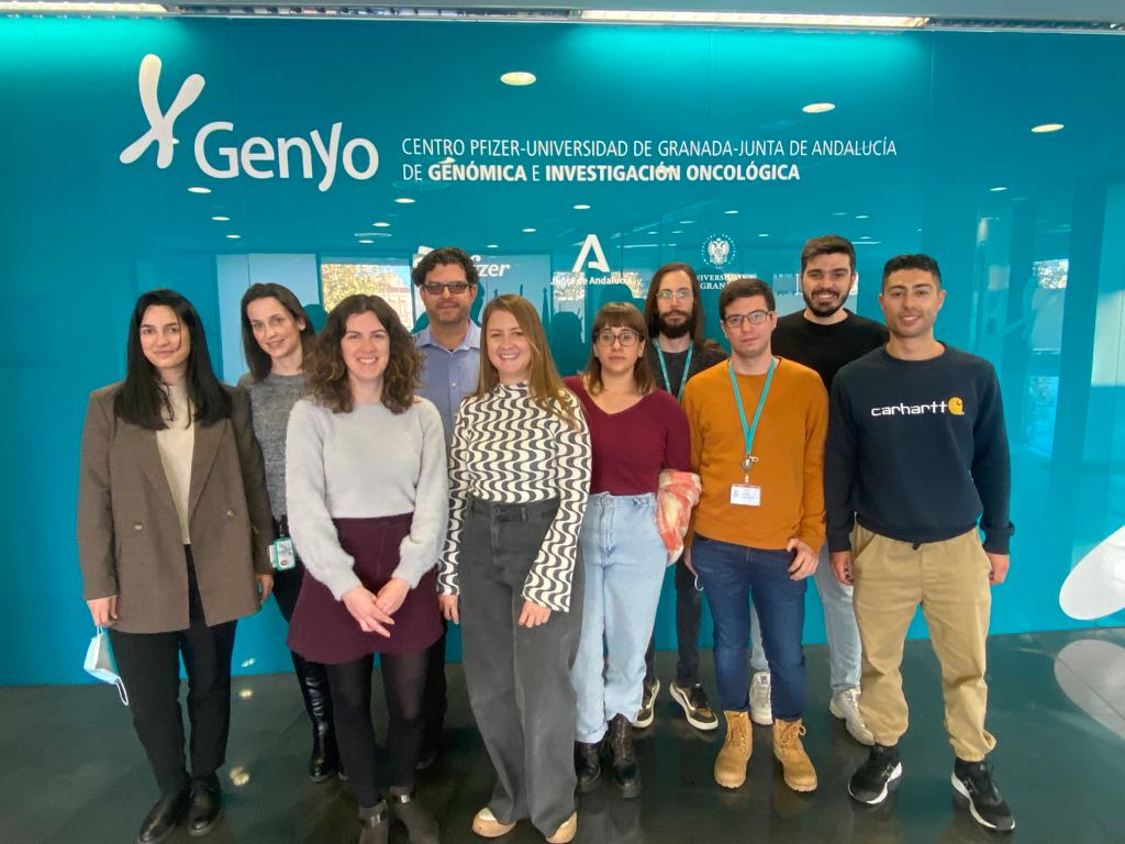 Identifican mutaciones en el gen ‘TECTA’ en la enfermedad de Meniere familiar