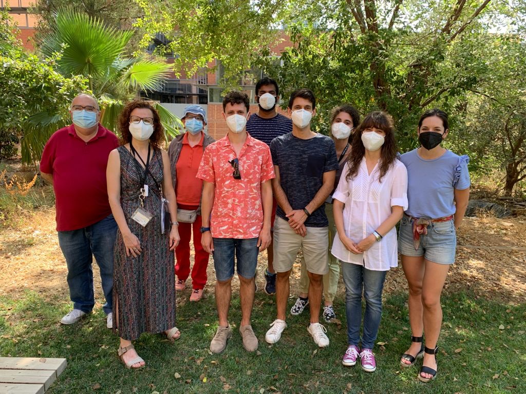 Descubren un nuevo perfil metabólico en pacientes de leucemia mieloide aguda