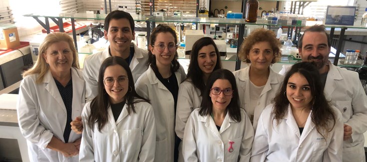 La transtirretina, una proteína  clave en el desarrollo de la fibrosis cardíaca asociada a la obesidad