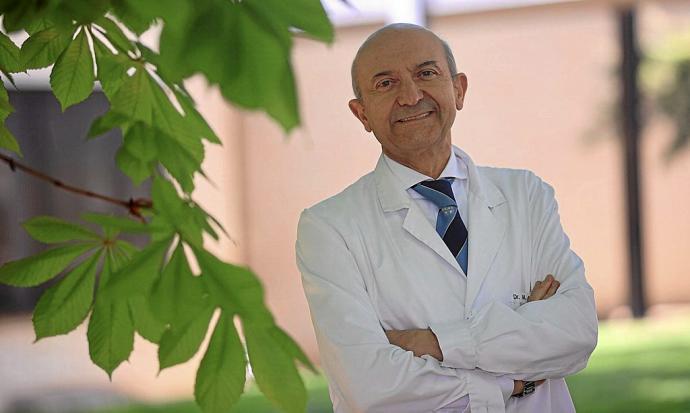 Los beneficios del consumo del aceite de oliva, respaldados por la mejor evidencia científica