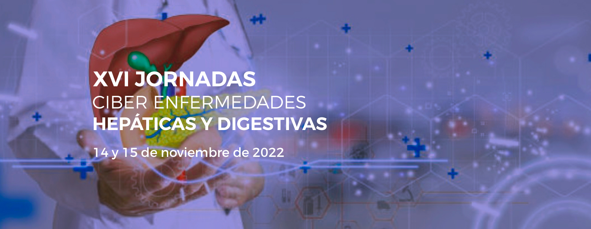 El CIBEREHD celebra sus XVI Jornadas Científicas haciendo balance de su actividad investigadora