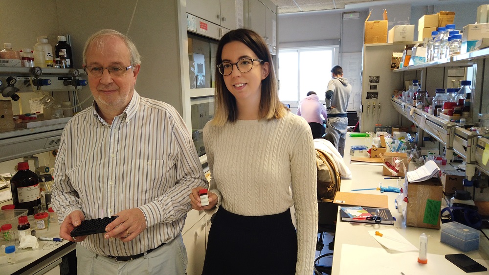 Un nuevo test detecta burundanga y droga caníbal en muestras de saliva y bebidas de forma rápida y sencilla