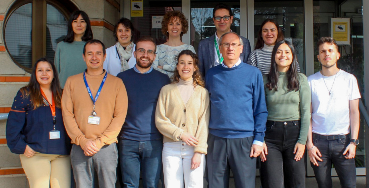 La vitamina D, clave en la diferenciación y el mantenimiento de las células troncales del epitelio colónico