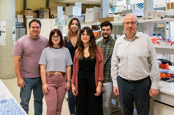 Nanoestrellas de oro que activan fármacos con luz: un nuevo enfoque contra el cáncer