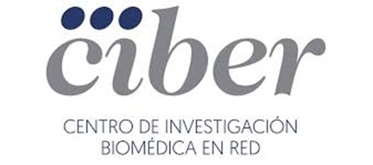 Nuevas jefaturas de grupo en el Consorcio CIBER