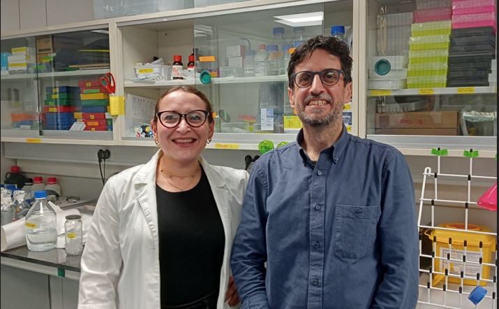 Nuevo avance para desarrollar tratamientos más personalizados contra el cáncer de pulmón
