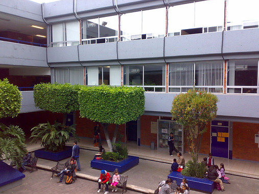 Las escuelas con más vegetación presentan menos aire contaminado por tráfico rodado