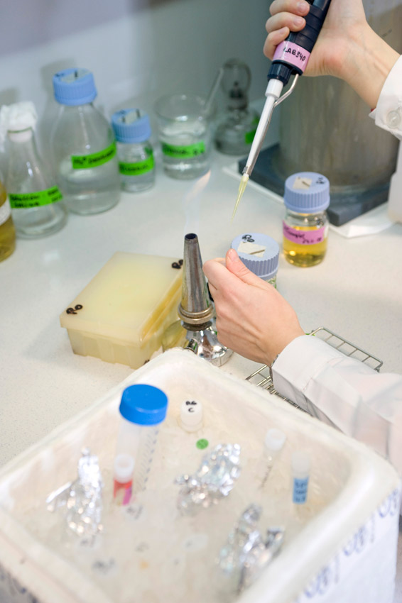 El primer test no invasivo para diagnosticar hígado graso logra dos patentes