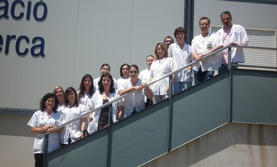 La composición de los hongos en el intestino es diferente en personas obesas La composición de los hongos en el intestino es diferente en personas obesas