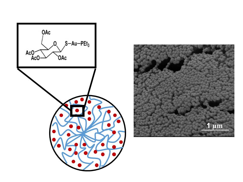 Una investigación InterCIBER propone una nueva estrategia para luchar contra las infecciones neumocócicas