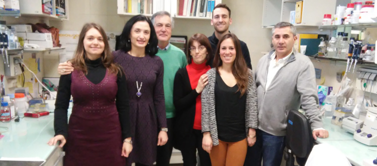 Generan iPSCs como modelo para el estudio de enfermedades mitocondriales