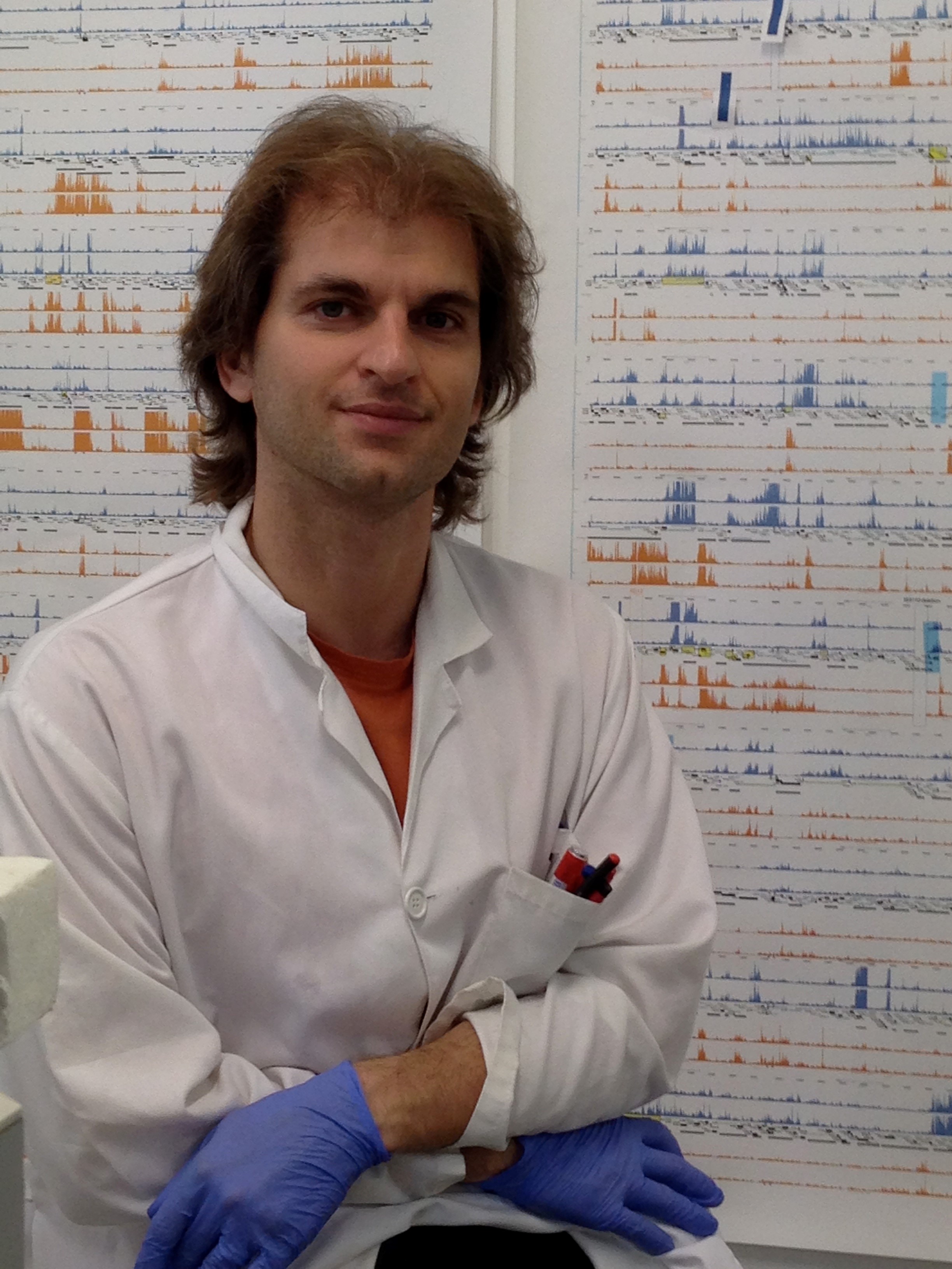 Descubierta la mutación que especializa a las bacterias de la tuberculosis