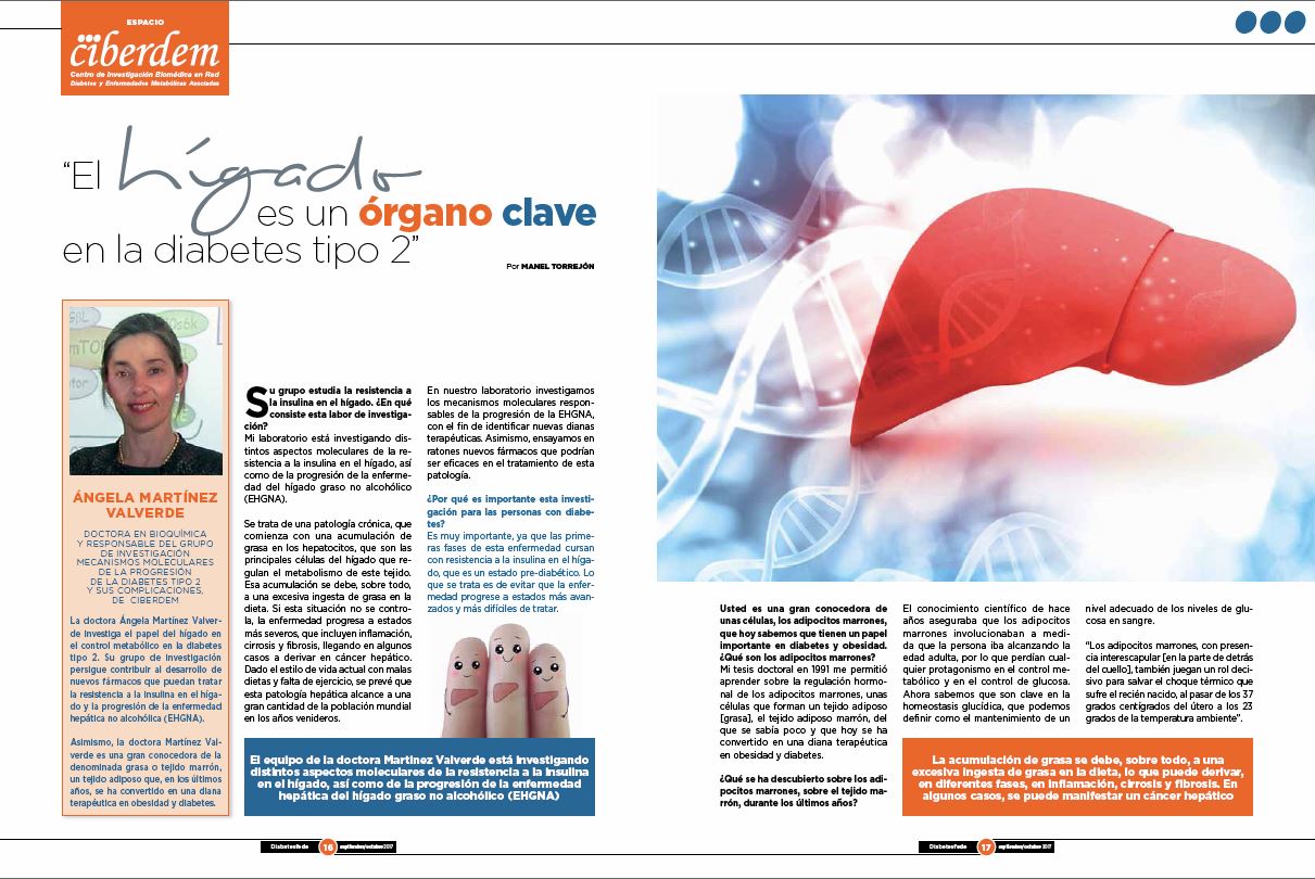 Ángela Martínez Valverde: “El hígado es un órgano clave en la diabetes tipo 2”